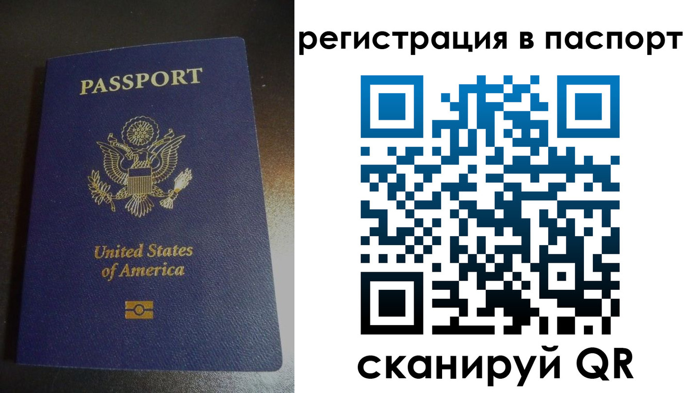 прописка для школы в Торопеце
